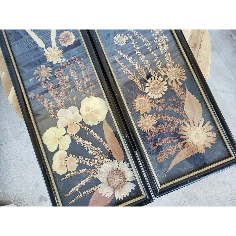 2 ANTIQUE ROCCOCO FRAMED DRIED FLOWER pressed poland victorian‎ oddity wall art